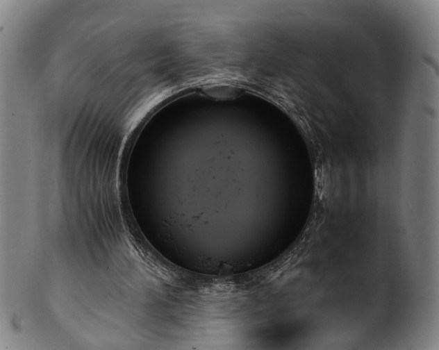 X0000101660196200807241425