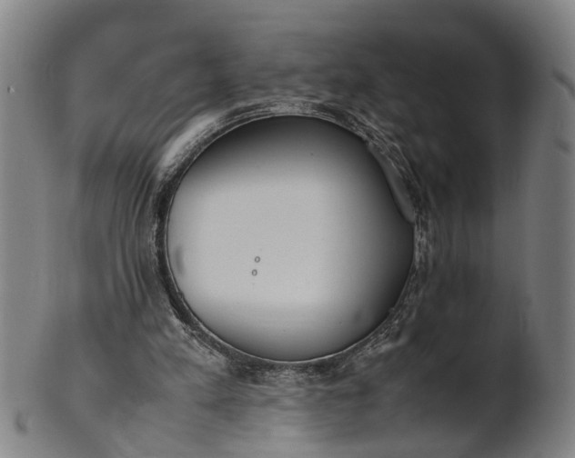 X0000101660197200807241425