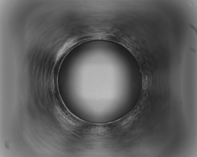 X0000101660198200807241425