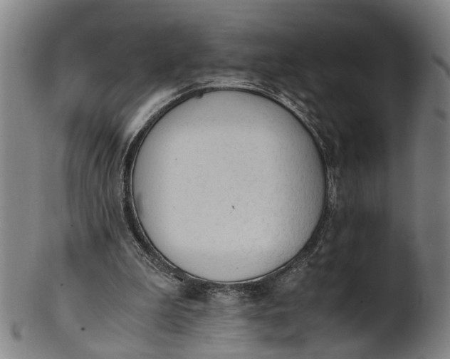 X0000101660199200807241425