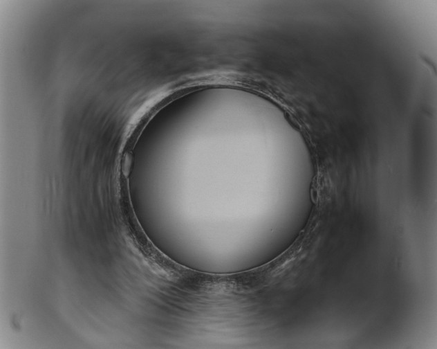 X0000101660200200807241425