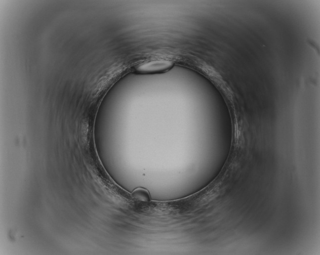 X0000101660201200807241425