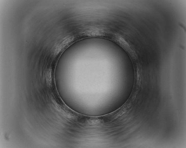 X0000101660202200807241425