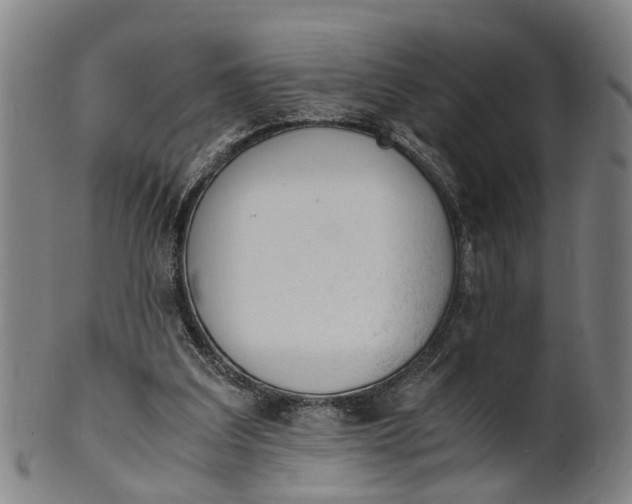 X0000101660203200807241425