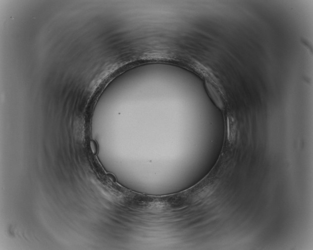 X0000101660204200807241425