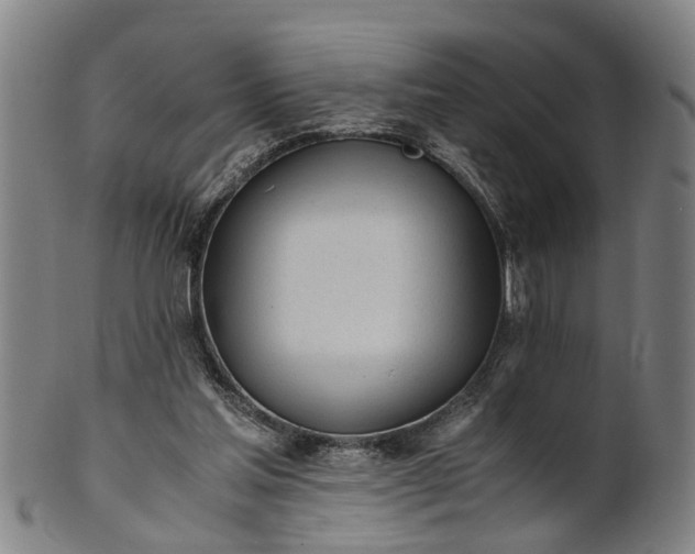 X0000101660205200807241425