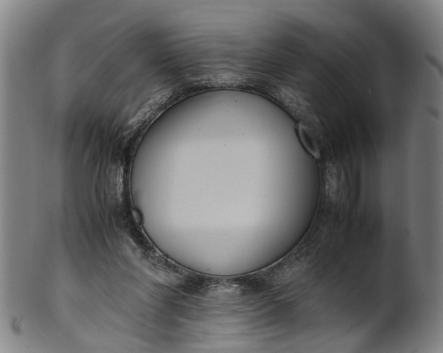 X0000101660206200807241425