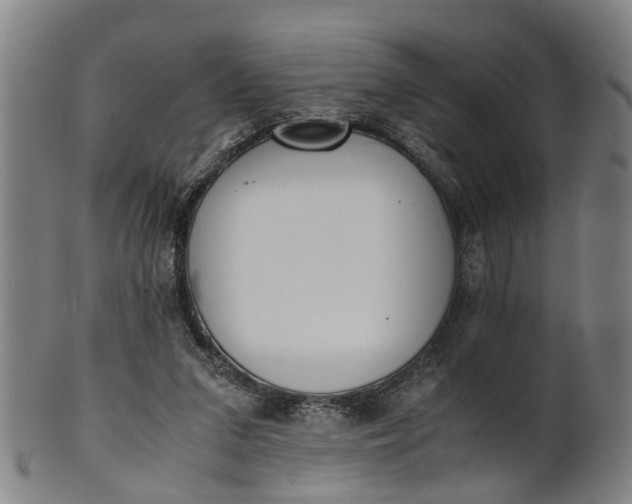 X0000101660207200807241425