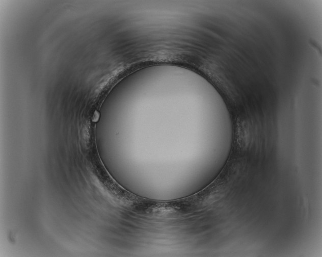 X0000101660208200807241425