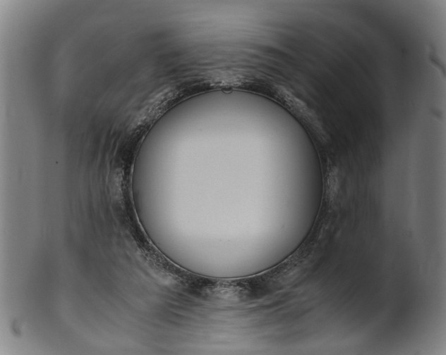 X0000101660209200807241425