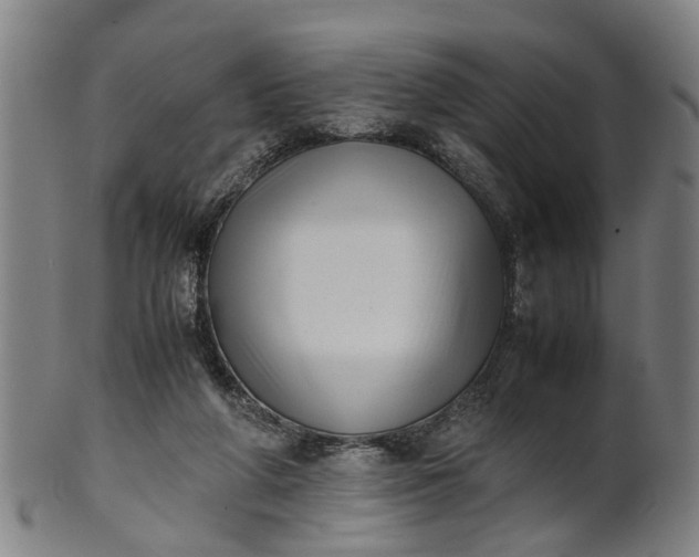 X0000101660210200807241425