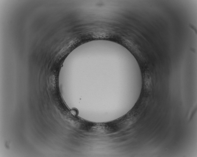 X0000101660211200807241425