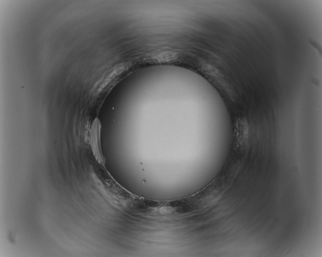 X0000101660212200807241425