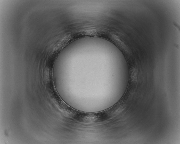 X0000101660213200807241425