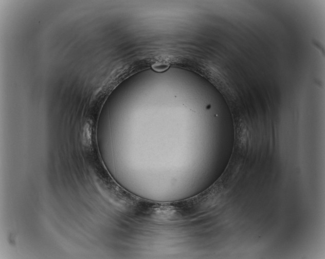 X0000101660214200807241425