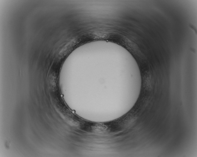 X0000101660215200807241425