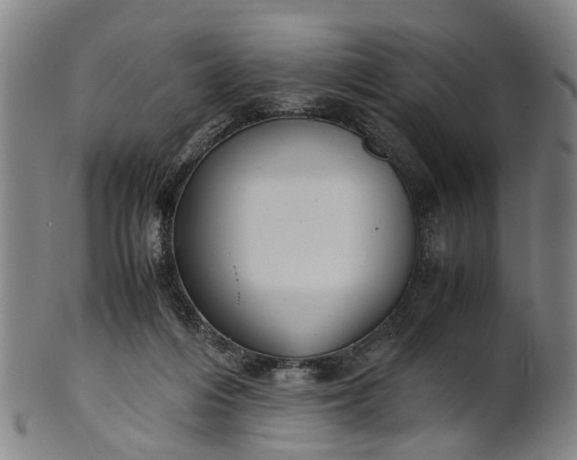 X0000101660216200807241425