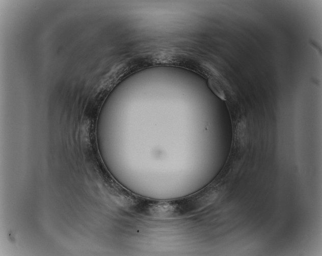 X0000101660217200807241425