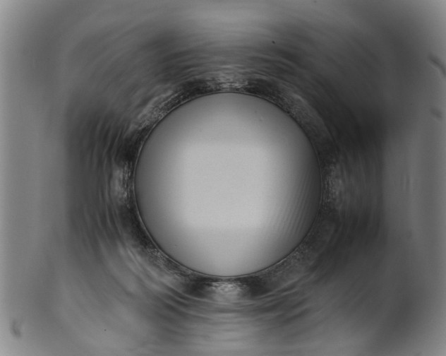 X0000101660218200807241425