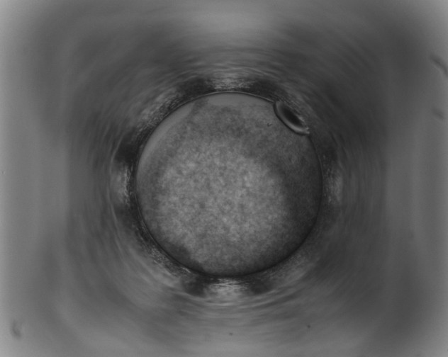 X0000101660219200807241425