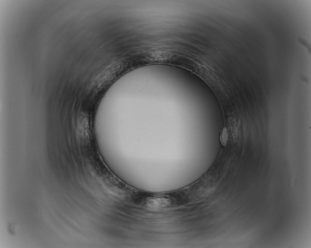 X0000101660220200807241425