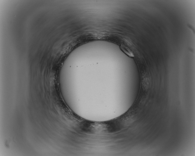 X0000101660221200807241425