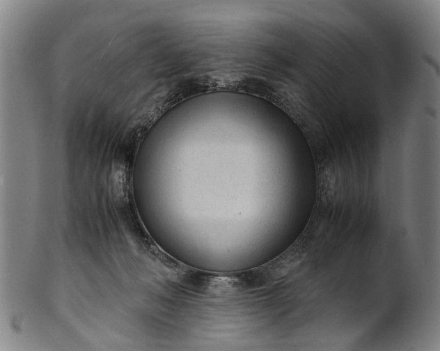 X0000101660222200807241425