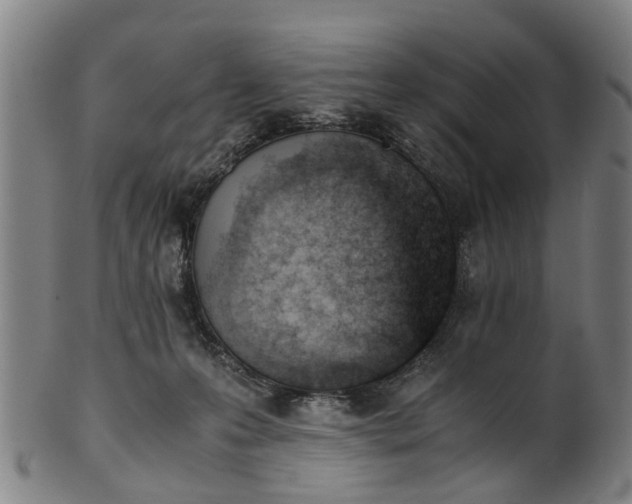 X0000101660223200807241425