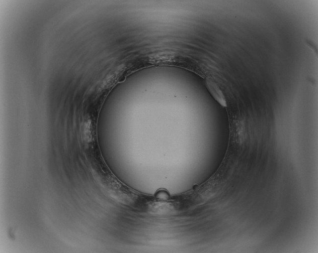 X0000101660224200807241425