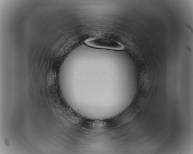 X0000101660225200807241425