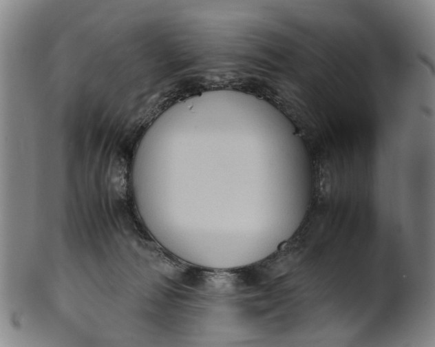 X0000101660226200807241425