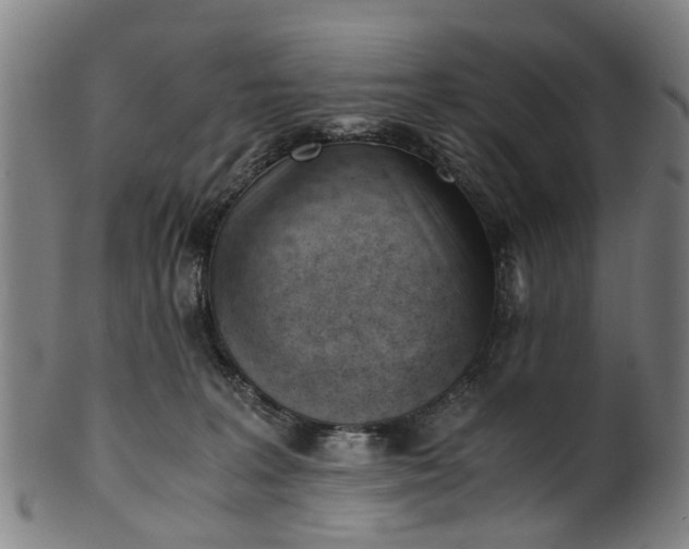 X0000101660227200807241425