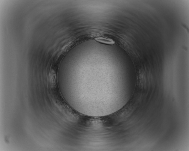 X0000101660228200807241425