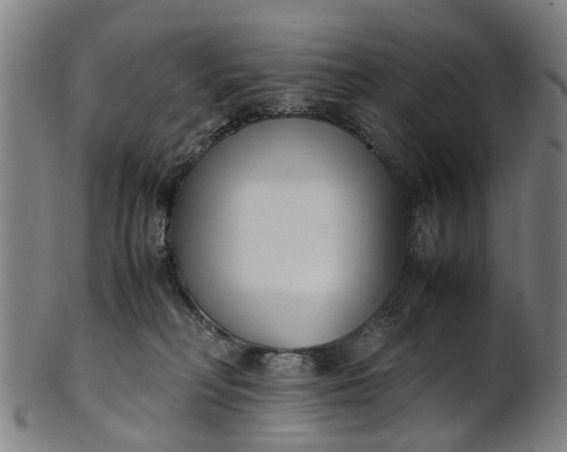 X0000101660230200807241424