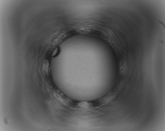 X0000101660231200807241424