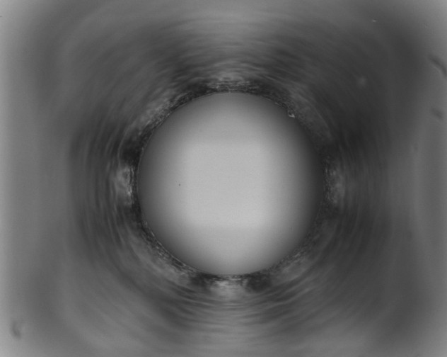 X0000101660232200807241424