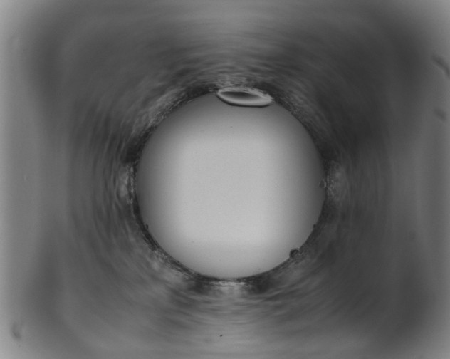 X0000101660233200807241424