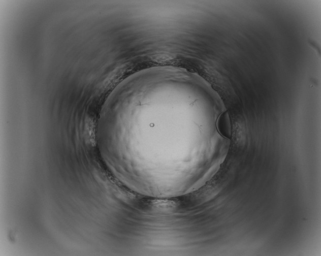 X0000101660234200807241424