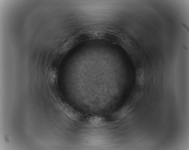 X0000101660235200807241424