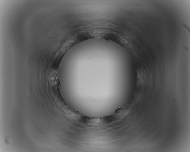 X0000101660237200807241424