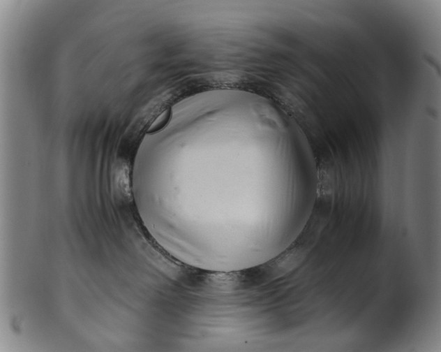 X0000101660238200807241424