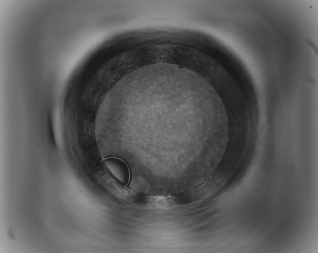 X0000101660239200807241424