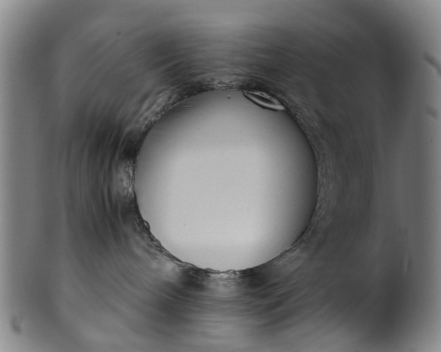 X0000101660240200807241424