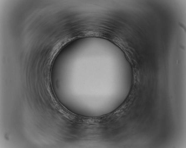 X0000101660241200807241424