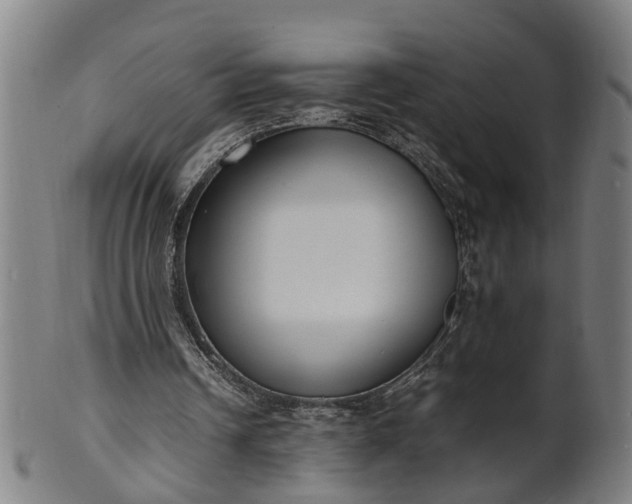 X0000101660242200807241424