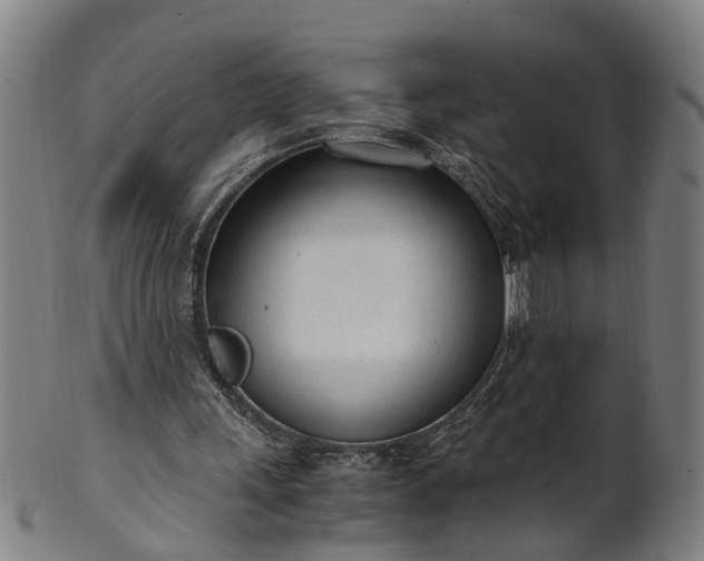 X0000101660243200807241424