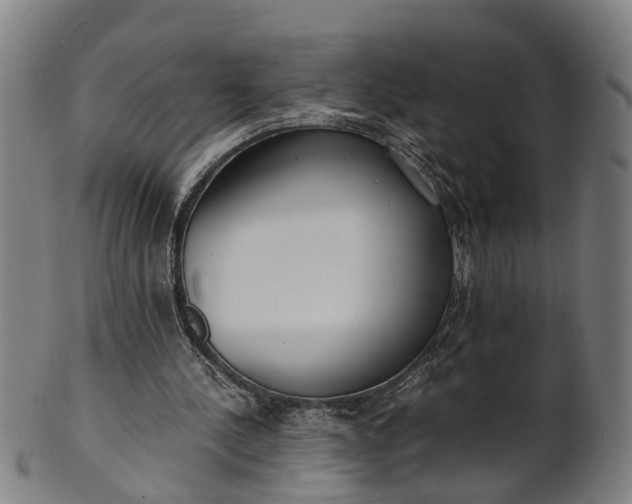 X0000101660244200807241424