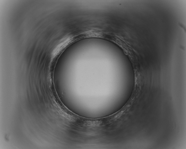 X0000101660245200807241424