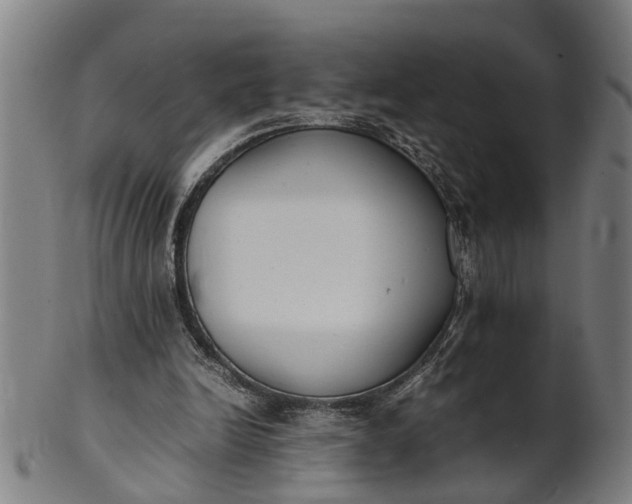 X0000101660246200807241424