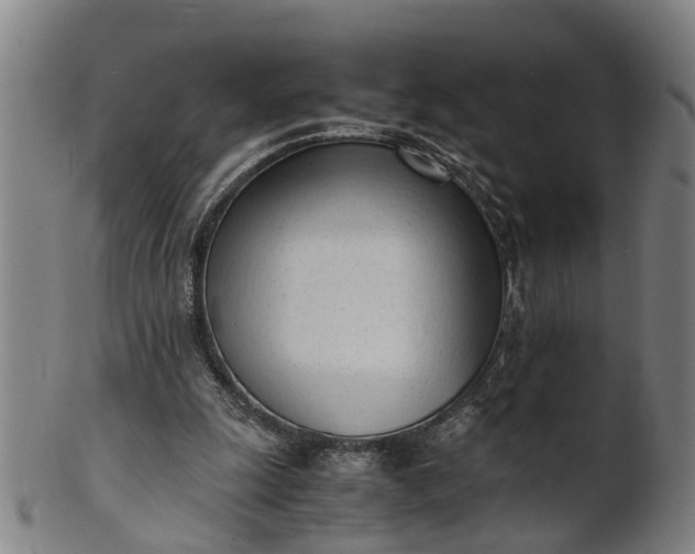 X0000101660247200807241424